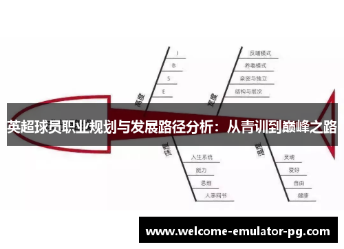 英超球员职业规划与发展路径分析：从青训到巅峰之路