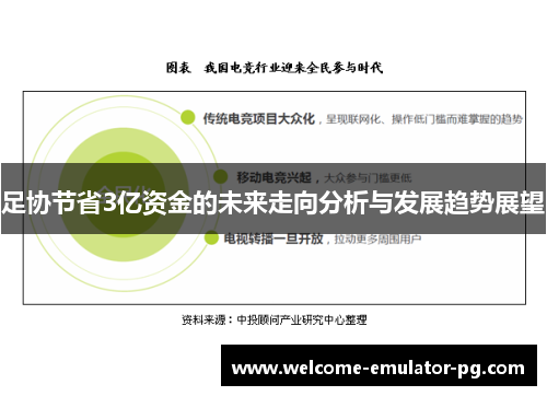 足协节省3亿资金的未来走向分析与发展趋势展望 足协节省3亿资金的未来走向分析与发展趋势展望