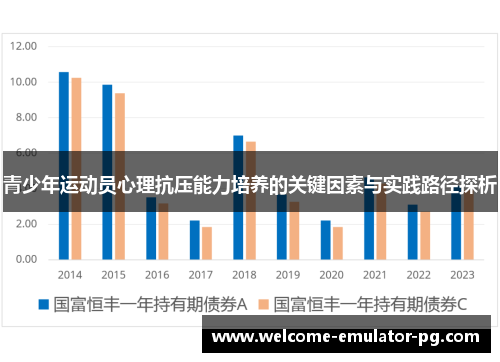 青少年运动员心理抗压能力培养的关键因素与实践路径探析 青少年运动员心理抗压能力培养的关键因素与实践路径探析