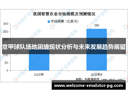 意甲球队场地困境现状分析与未来发展趋势展望