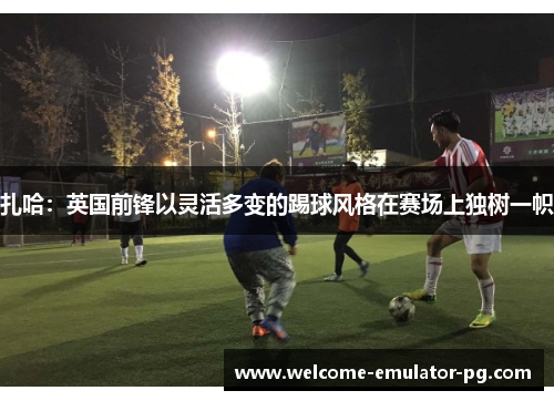 扎哈:英国前锋以灵活多变的踢球风格在赛场上独树一帜 扎哈:英国前锋以灵活多变的踢球风格在赛场上独树一帜