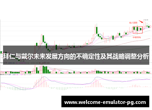 拜仁与戴尔未来发展方向的不确定性及其战略调整分析
