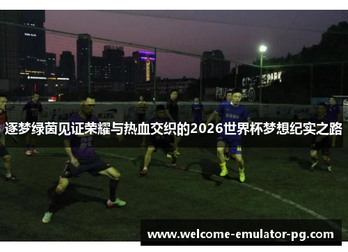 逐梦绿茵见证荣耀与热血交织的2026世界杯梦想纪实之路