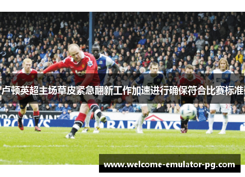 卢顿英超主场草皮紧急翻新工作加速进行确保符合比赛标准