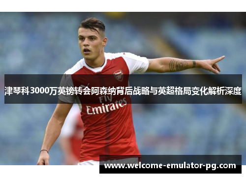 津琴科3000万英镑转会阿森纳背后战略与英超格局变化解析深度